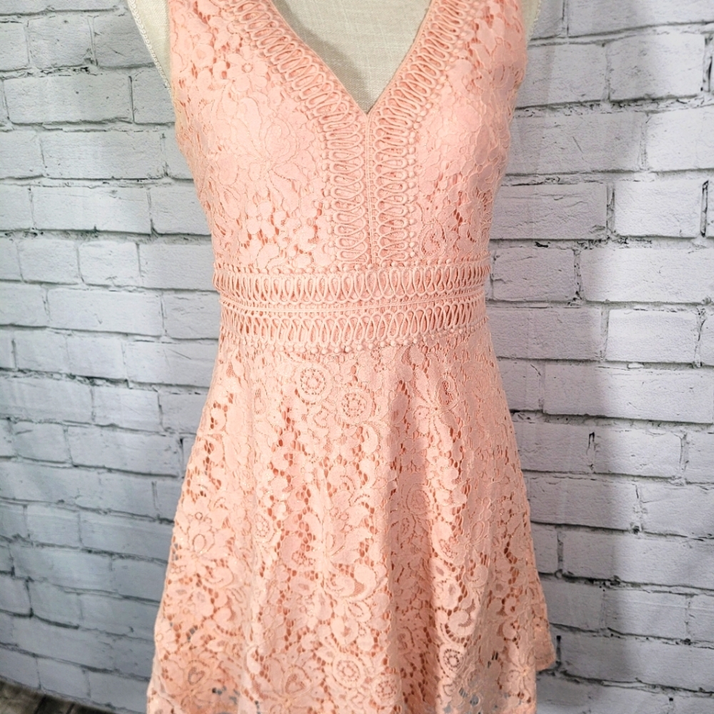 Francescas Peachy Pink Lace Mini
